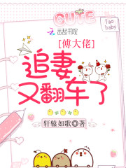 陆晚初傅易行小说名